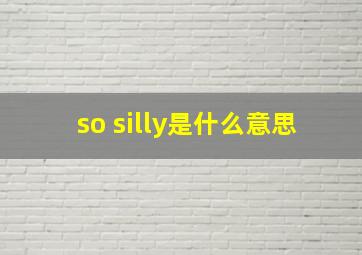 so silly是什么意思